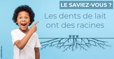 https://www.dr-magrou-limoux-dentiste.fr/Les dents de lait 2