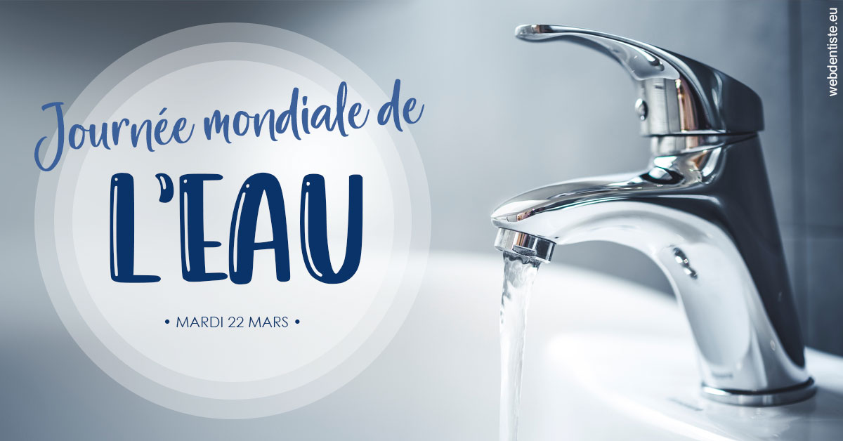 https://www.dr-magrou-limoux-dentiste.fr/La journée de l'eau 2