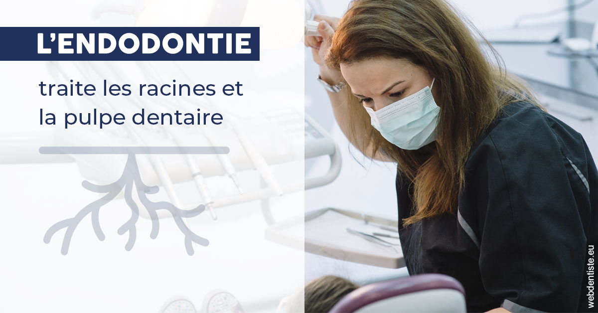 https://www.dr-magrou-limoux-dentiste.fr/L'endodontie 1