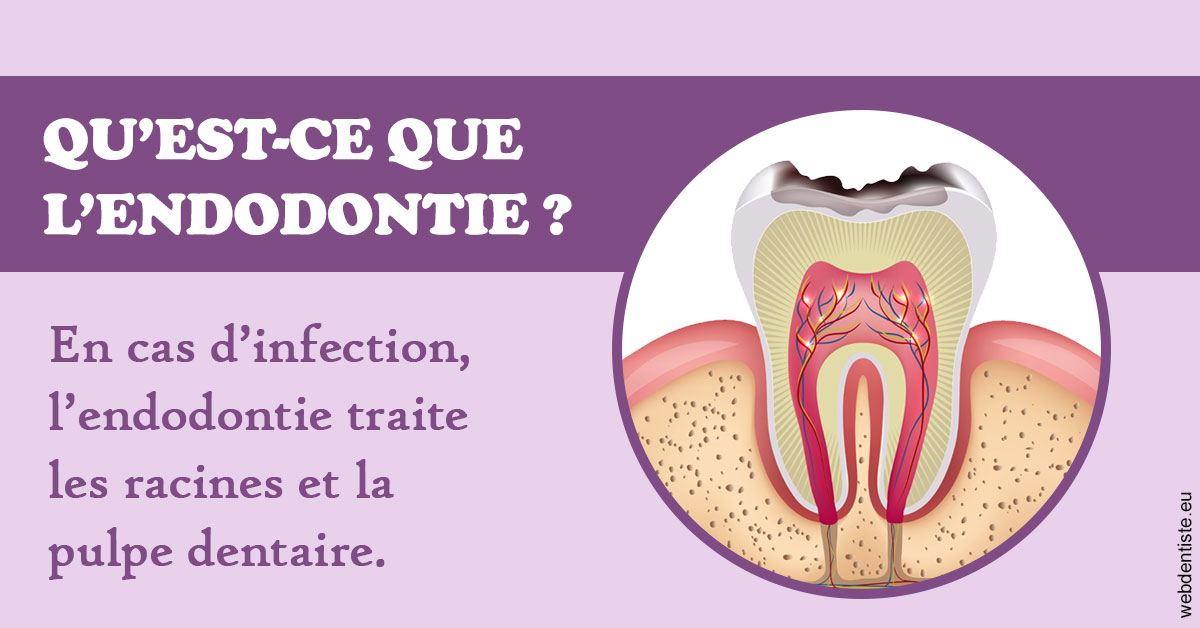 https://www.dr-magrou-limoux-dentiste.fr/2024 T1 - Endodontie 02