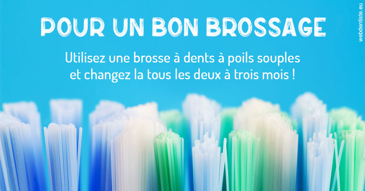 https://www.dr-magrou-limoux-dentiste.fr/Pour un bon brossage 1
