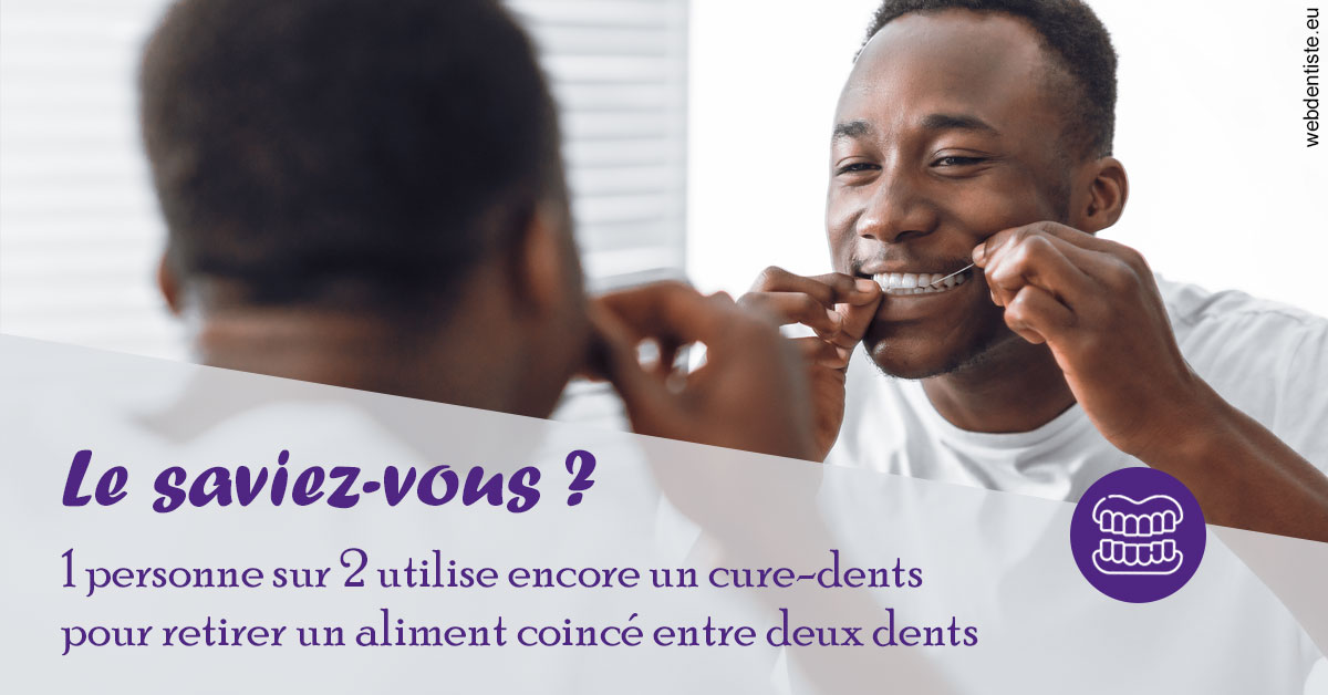 https://www.dr-magrou-limoux-dentiste.fr/Cure-dents 2