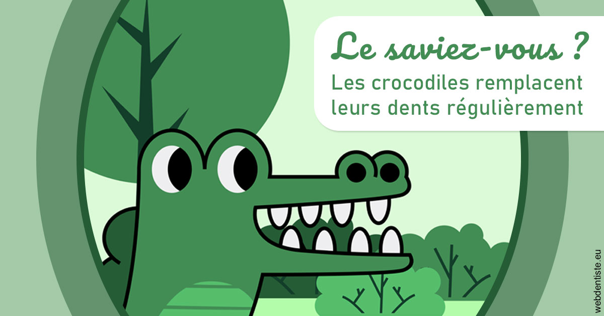 https://www.dr-magrou-limoux-dentiste.fr/Crocodiles 2