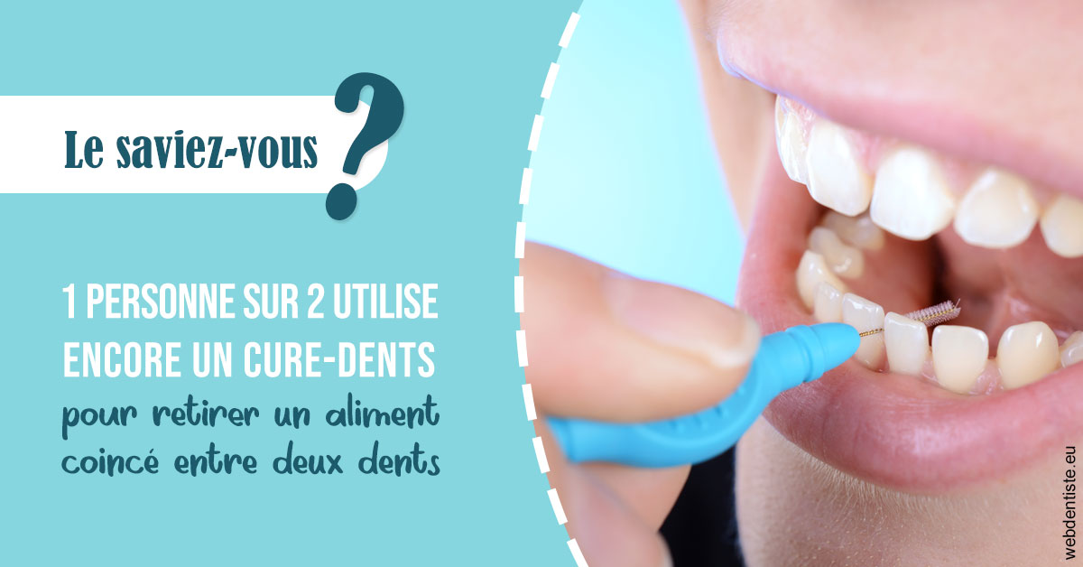 https://www.dr-magrou-limoux-dentiste.fr/Cure-dents 1