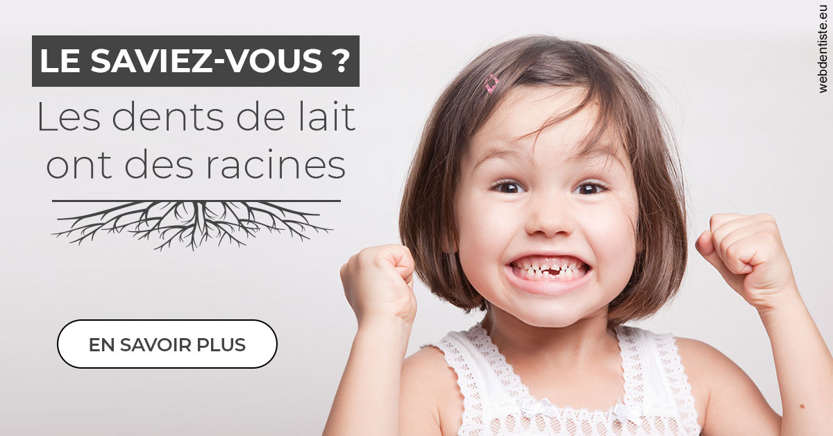 https://www.dr-magrou-limoux-dentiste.fr/Les dents de lait