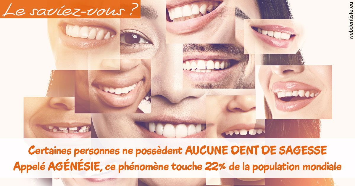 https://www.dr-magrou-limoux-dentiste.fr/Agénésie 2