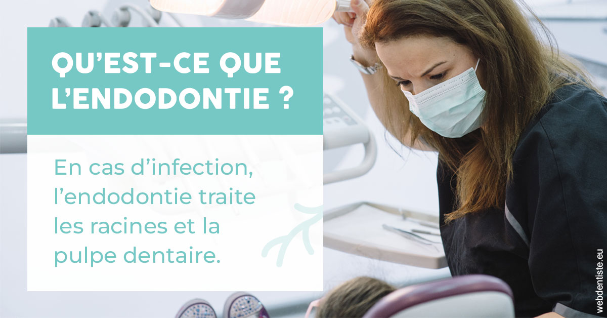 https://www.dr-magrou-limoux-dentiste.fr/2024 T1 - Endodontie 01