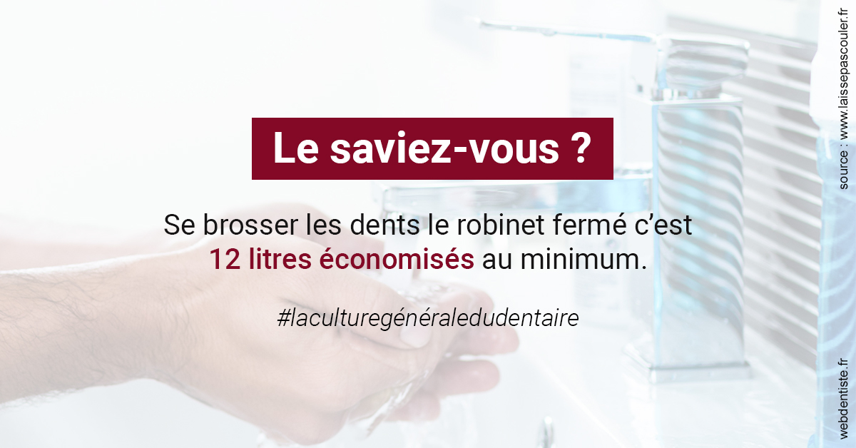 https://www.dr-magrou-limoux-dentiste.fr/Economies d'eau 2