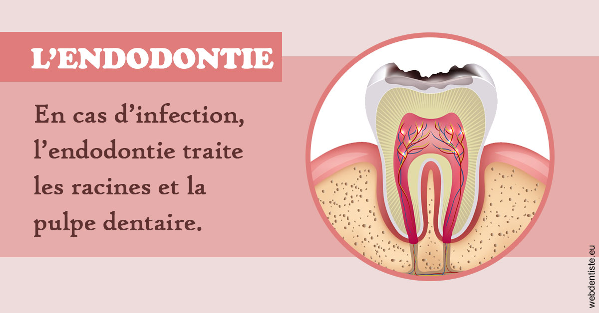 https://www.dr-magrou-limoux-dentiste.fr/L'endodontie 2